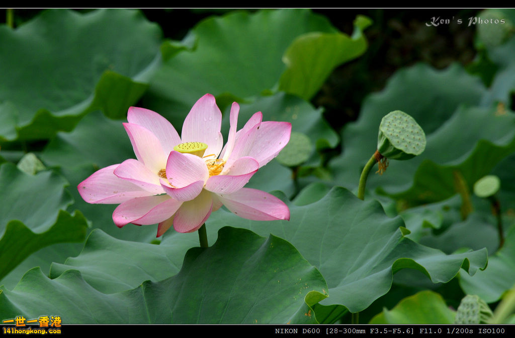 DSC_9563.jpg