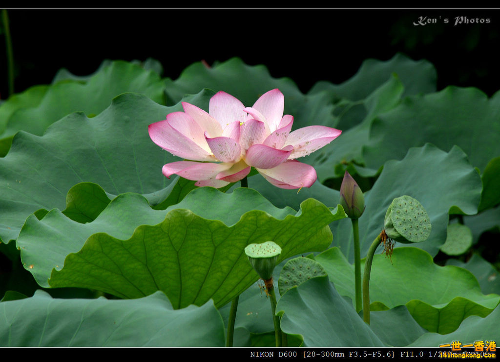 DSC_9566.jpg
