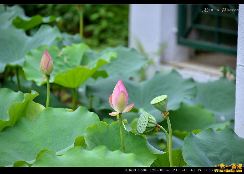 DSC_9567.jpg