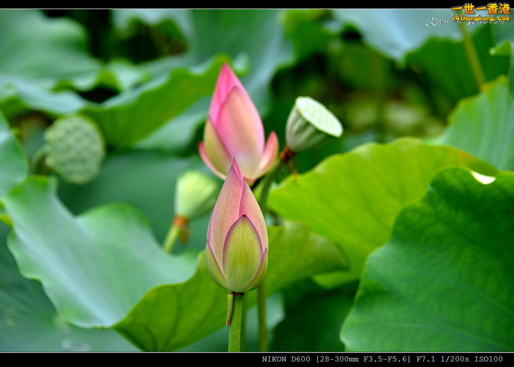DSC_9569.jpg