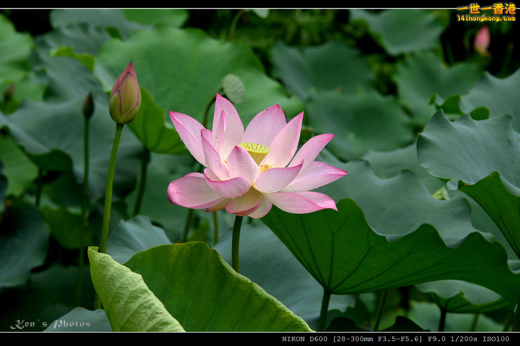 DSC_9571.jpg
