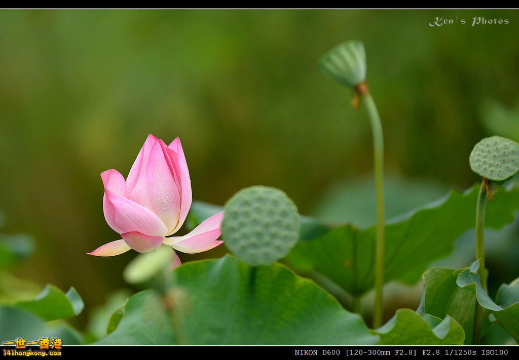 DSC_9574.jpg