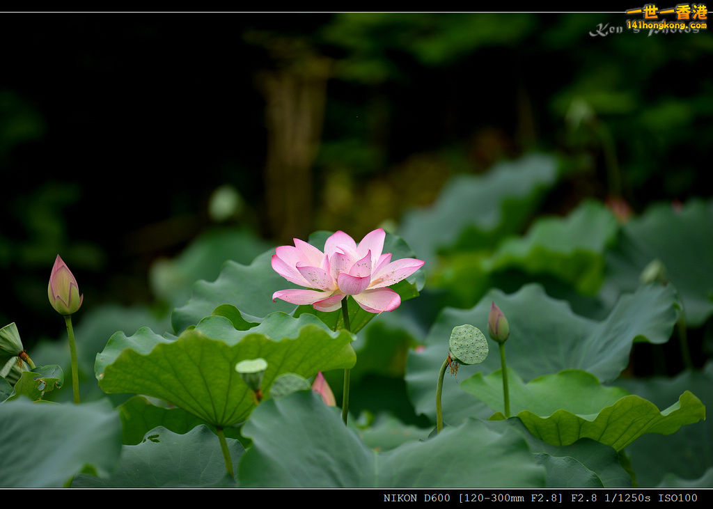 DSC_9577.jpg