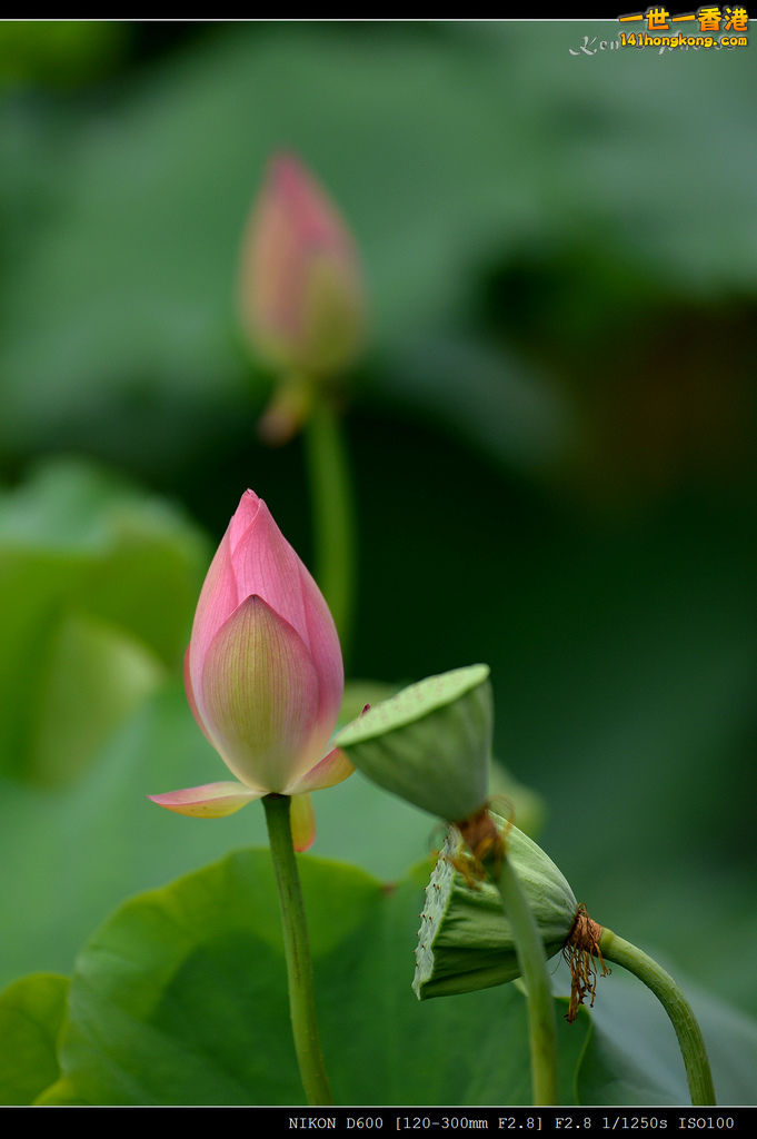 DSC_9583.jpg