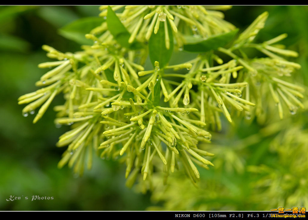 DSC_9605.jpg