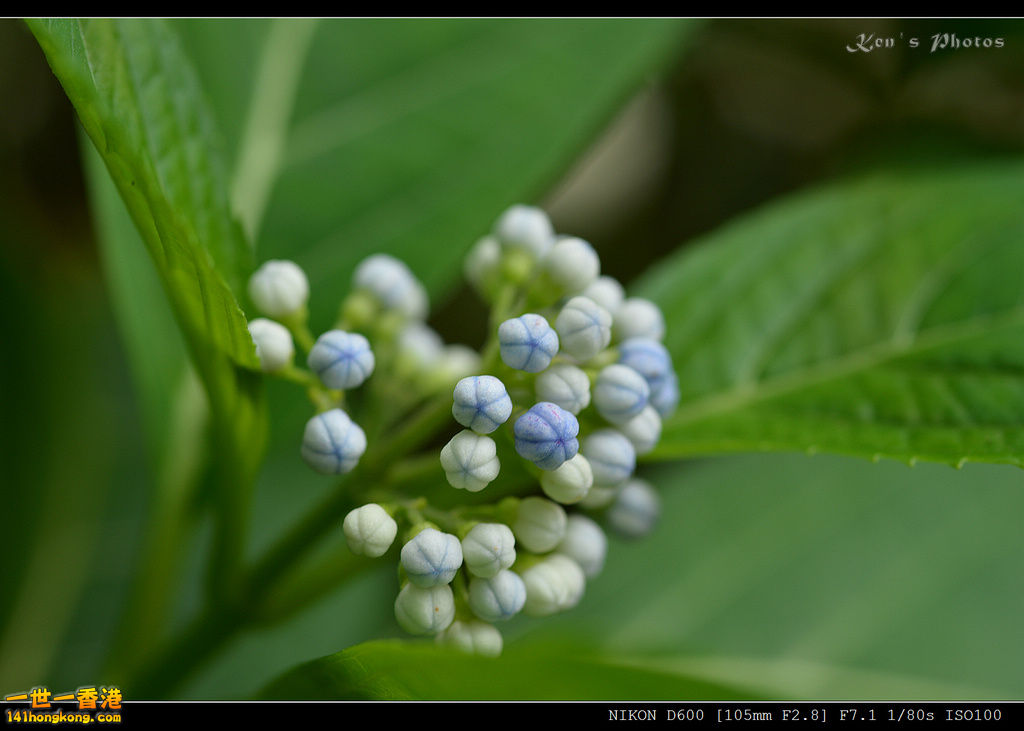 DSC_9635.jpg