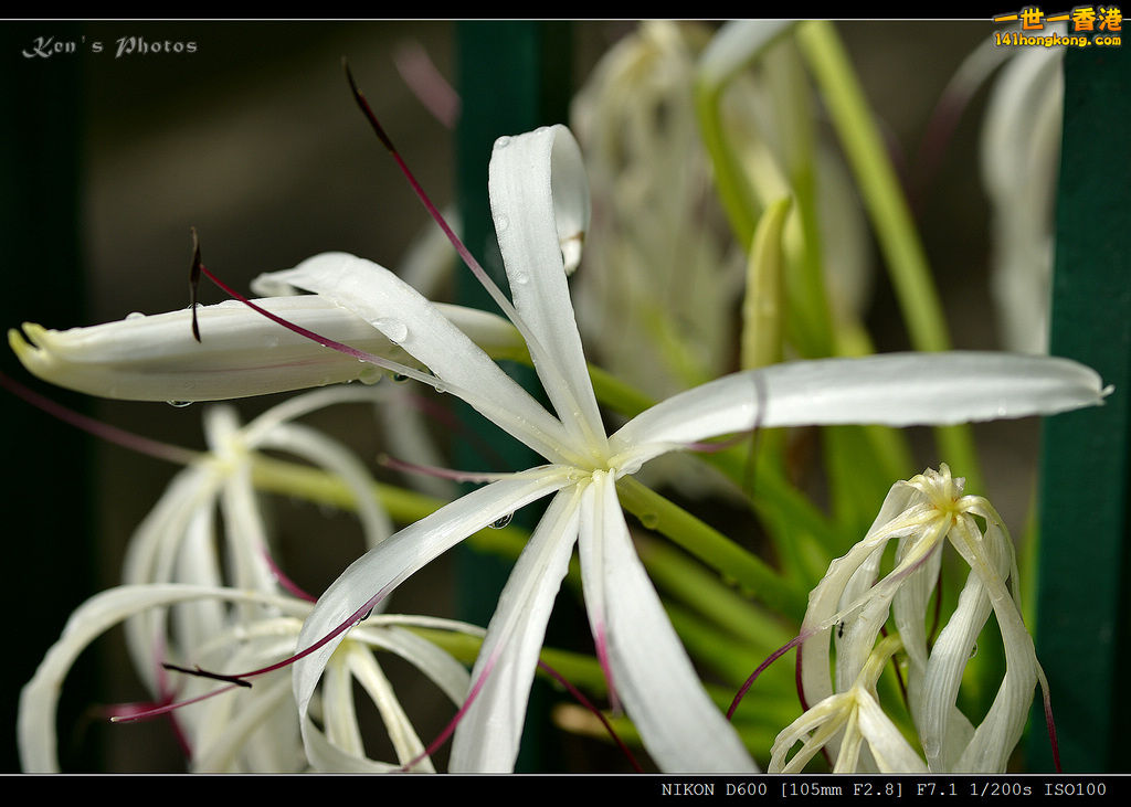 DSC_9641.jpg