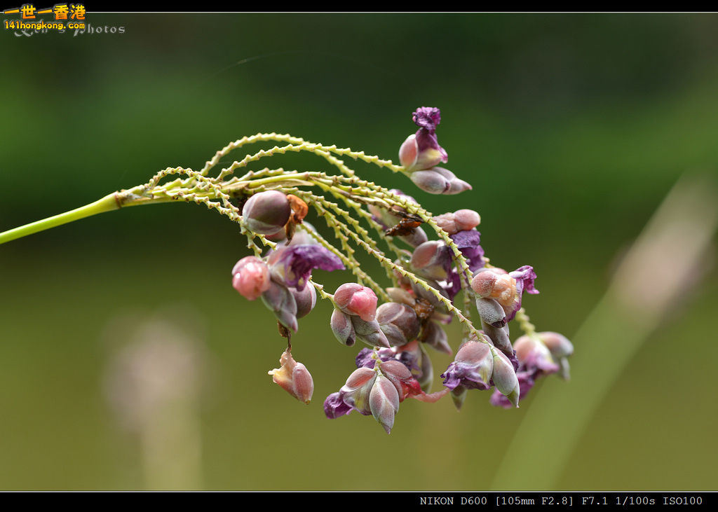 DSC_9644.jpg