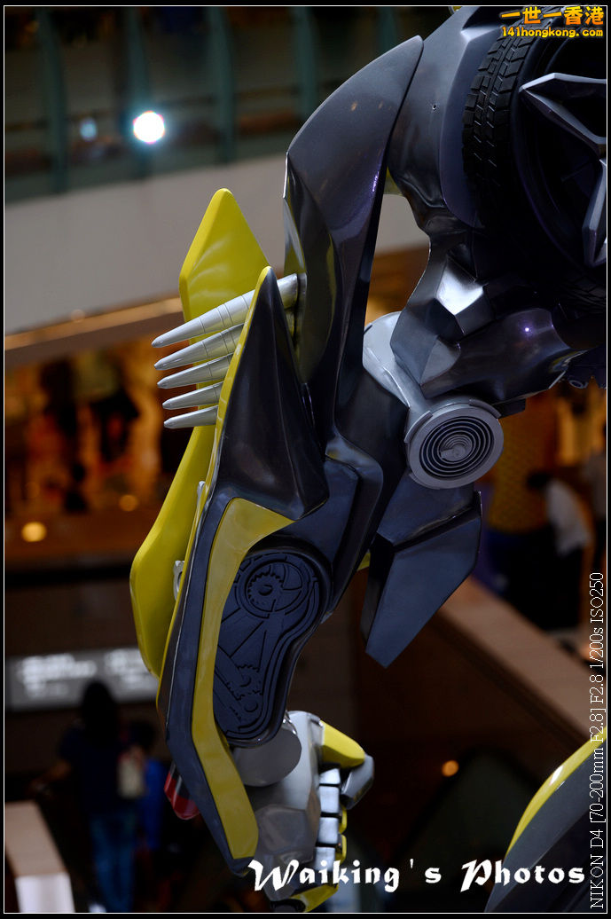 DSC_9826.jpg