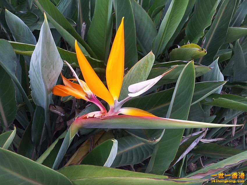 20140628_183623 - 副本.jpg