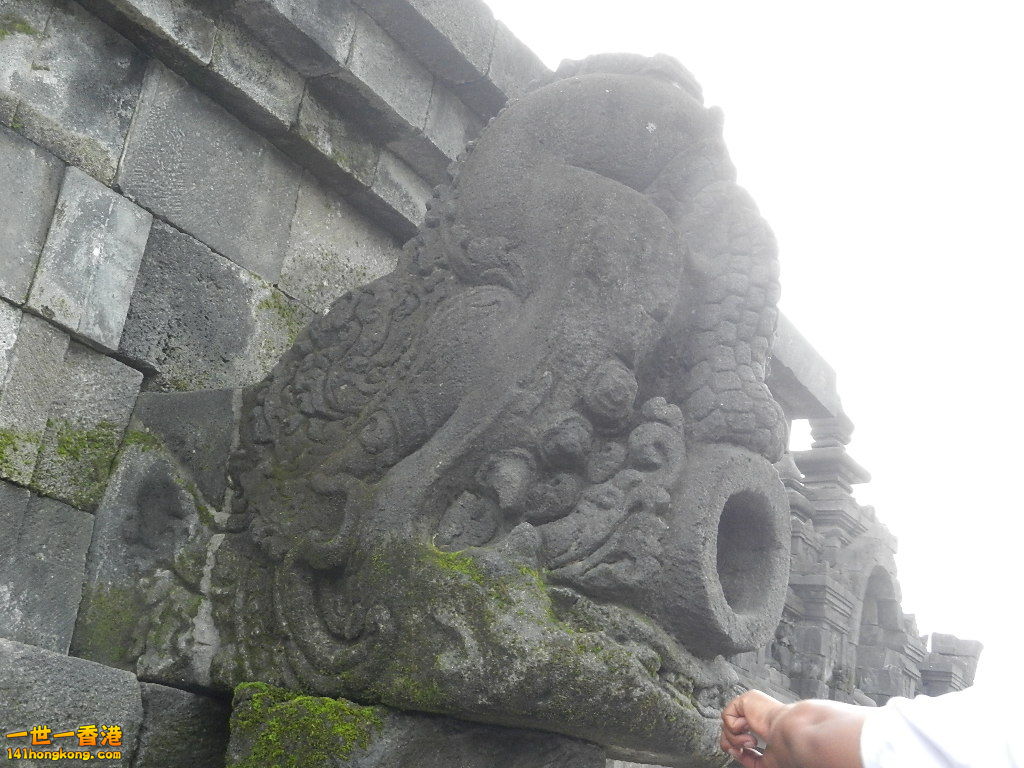 DSCN9298.JPG