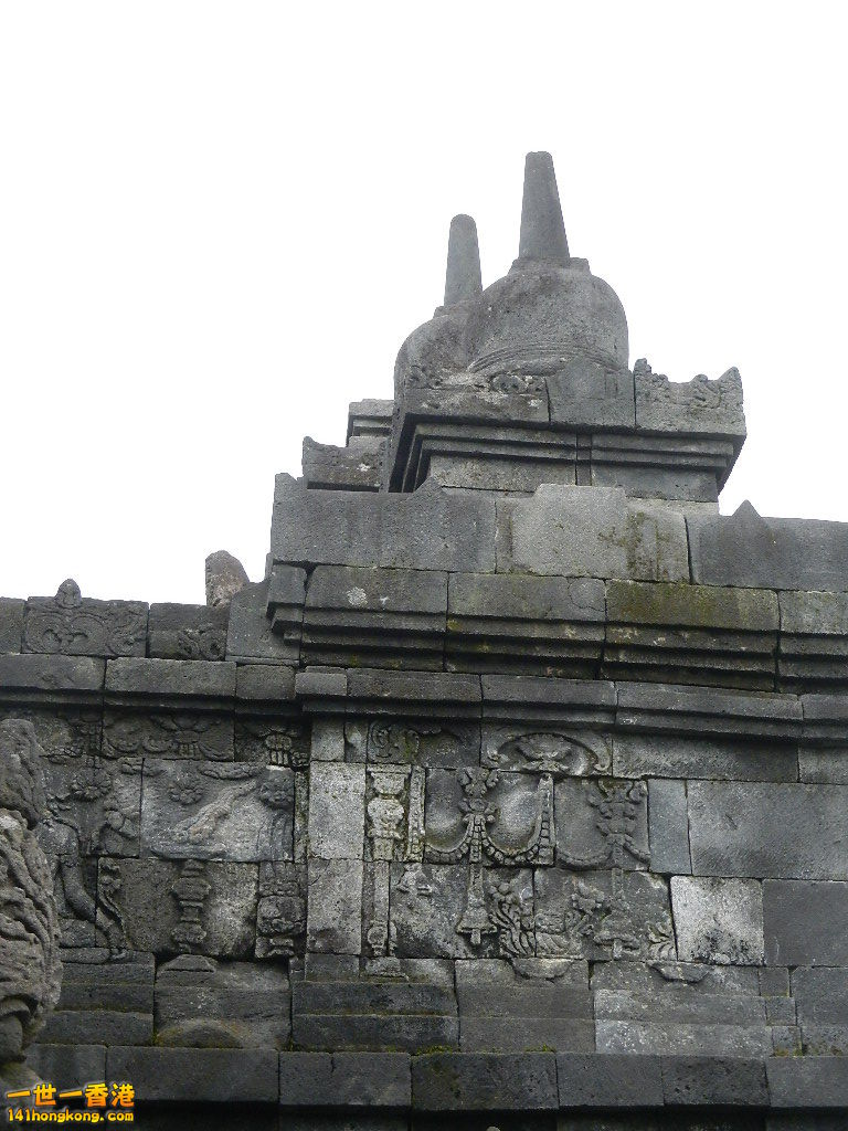 DSCN9319.JPG