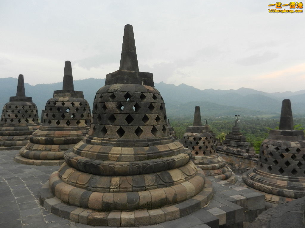 DSCN9340.JPG