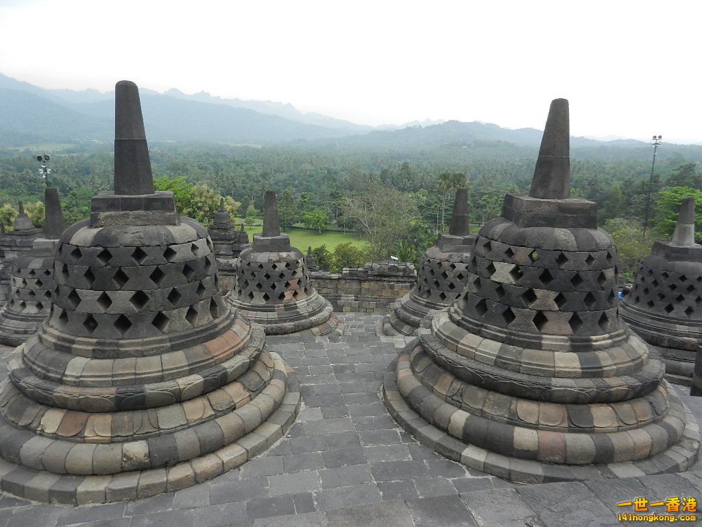 DSCN9342.JPG