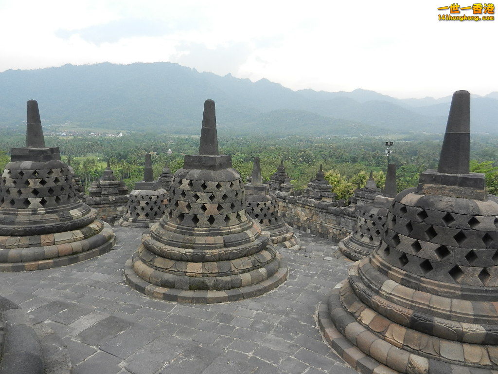 DSCN9341.JPG
