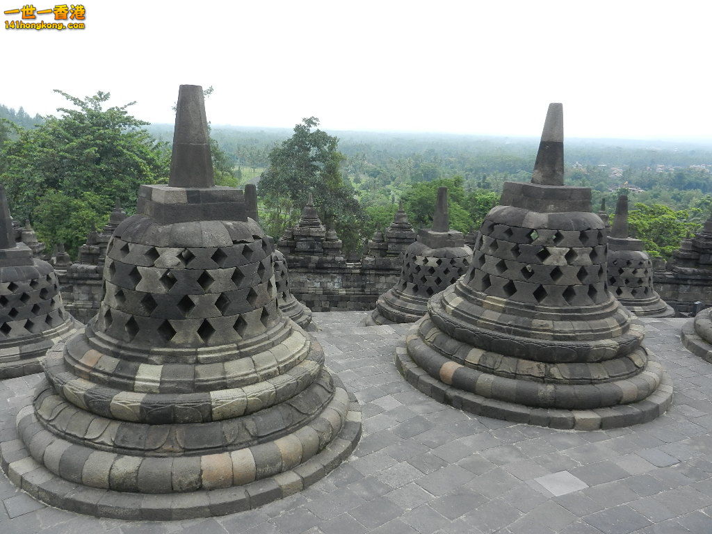 DSCN9346.JPG