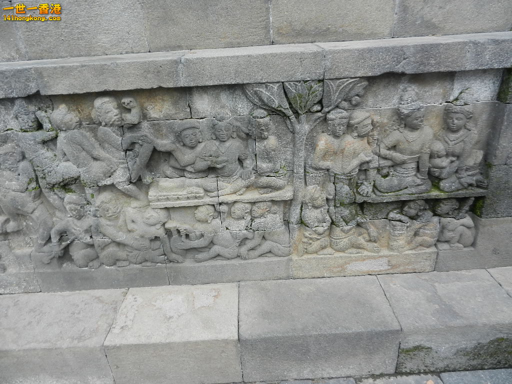 DSCN9284.JPG