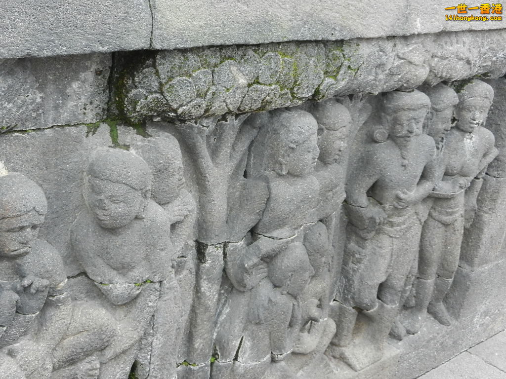 DSCN9290.JPG