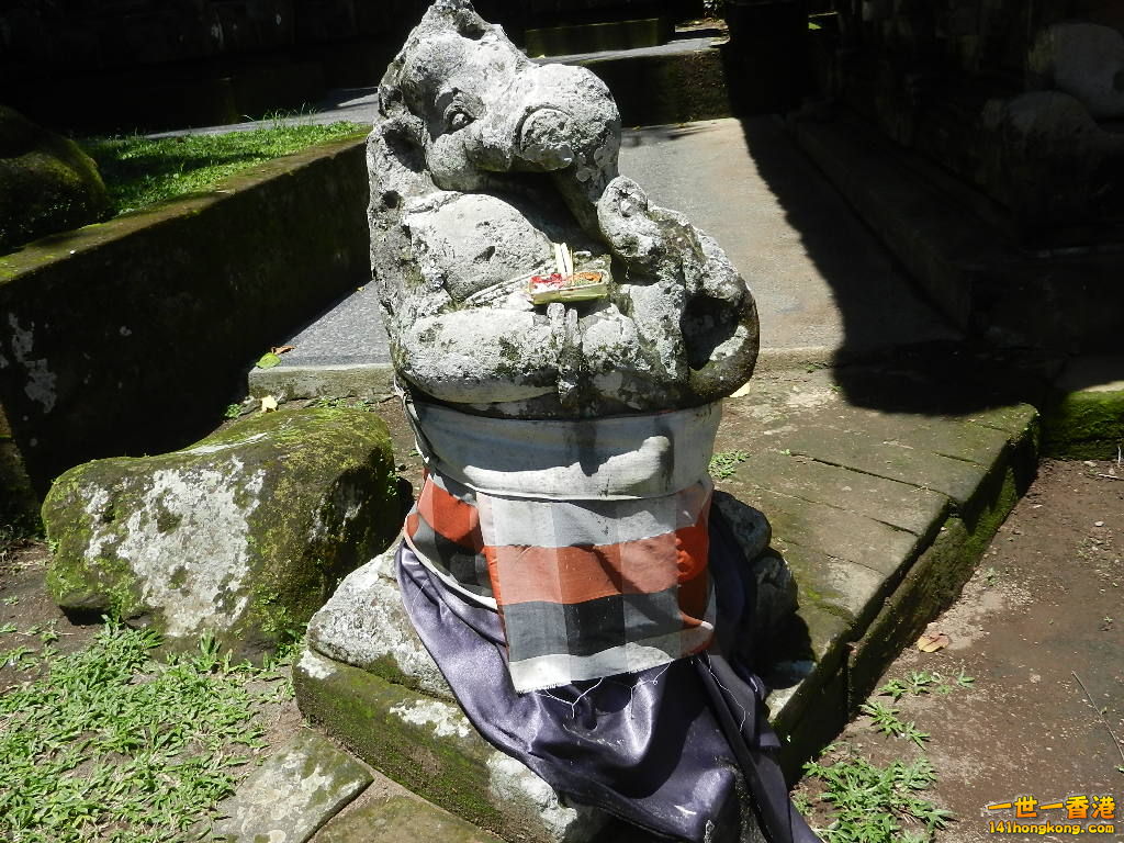 DSCN0310.JPG