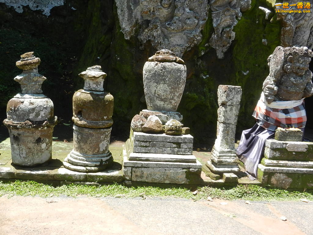 DSCN0313.JPG