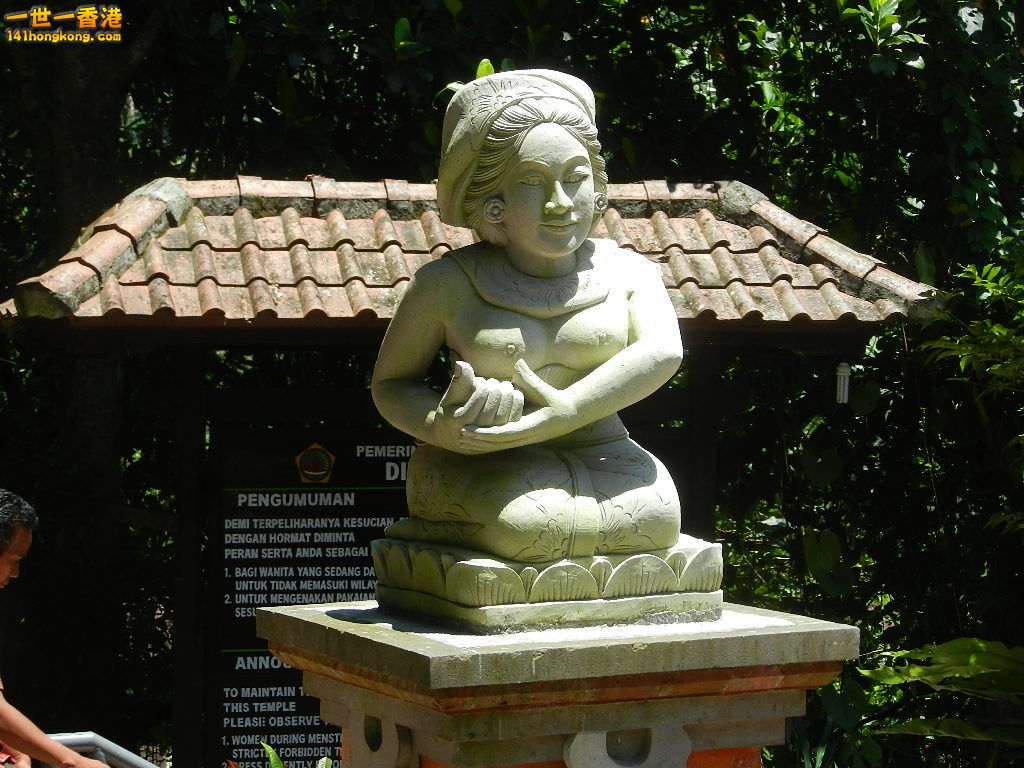 DSCN0328.JPG