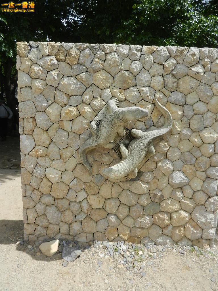 DSCN9504.JPG