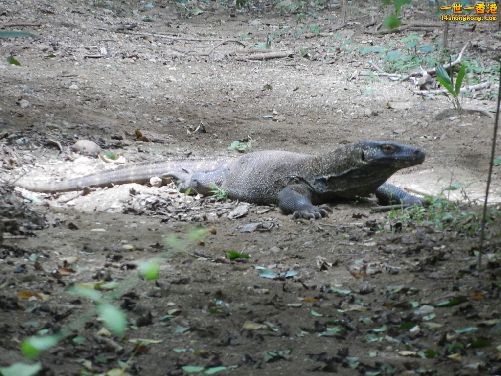 DSCN9538.JPG