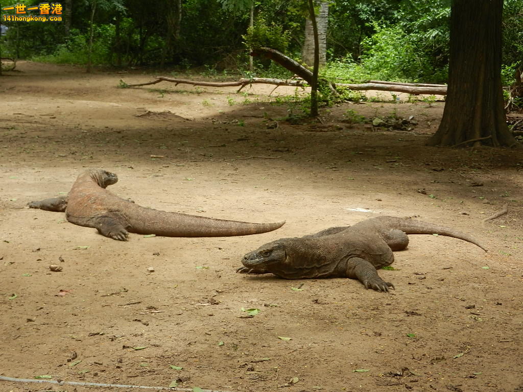 DSCN9543.JPG