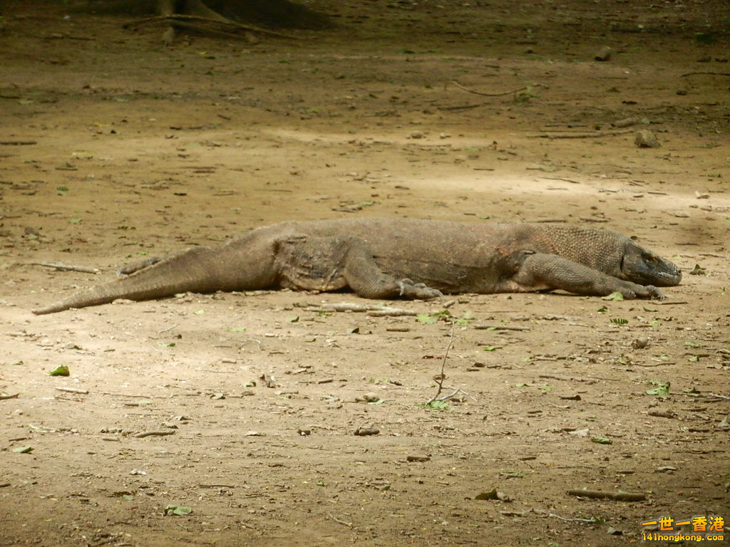 DSCN9546.JPG