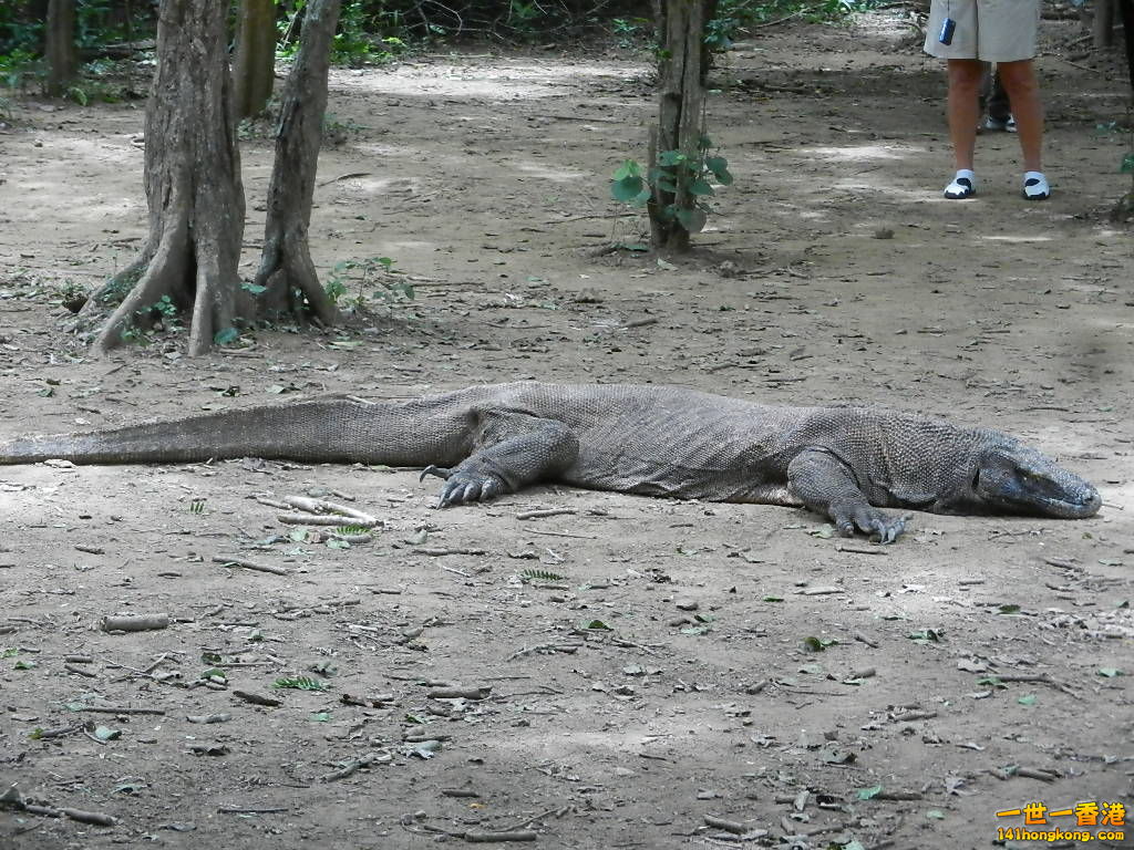 DSCN9550.JPG