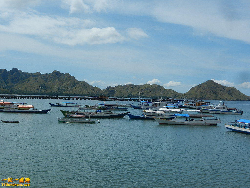 DSCN9501.JPG