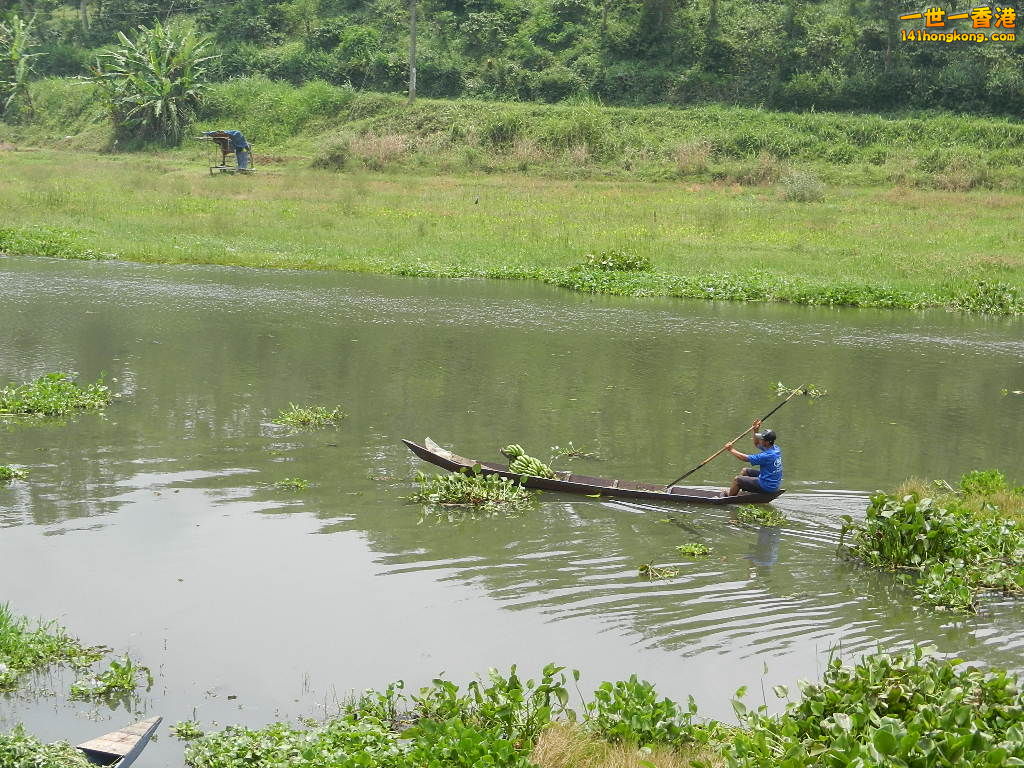 DSCN9156.JPG
