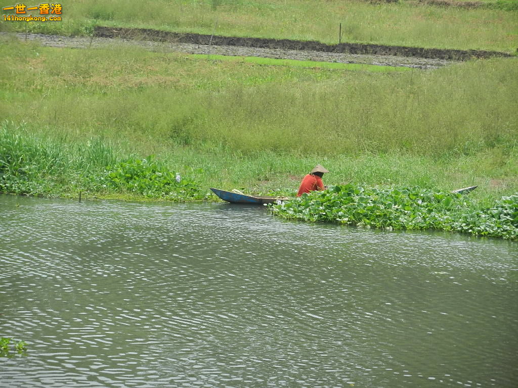 DSCN9158.JPG