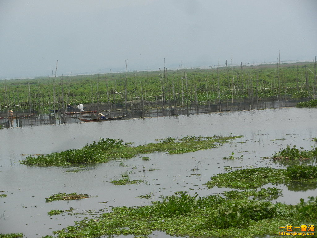 DSCN9171.JPG