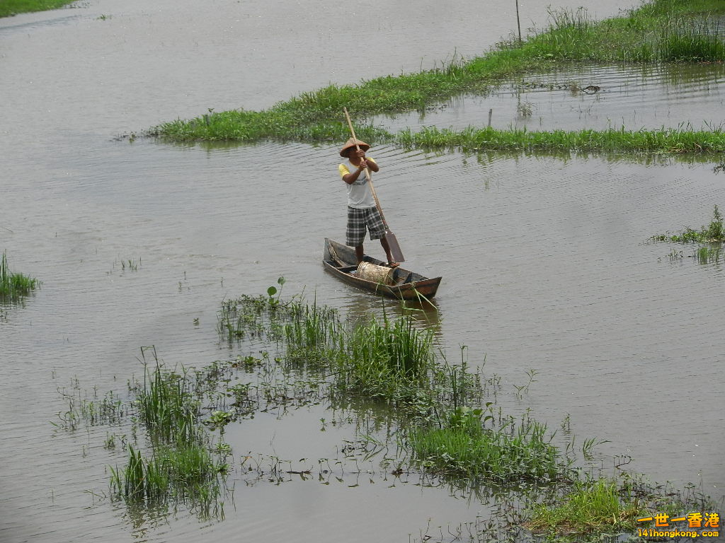 DSCN9176.JPG