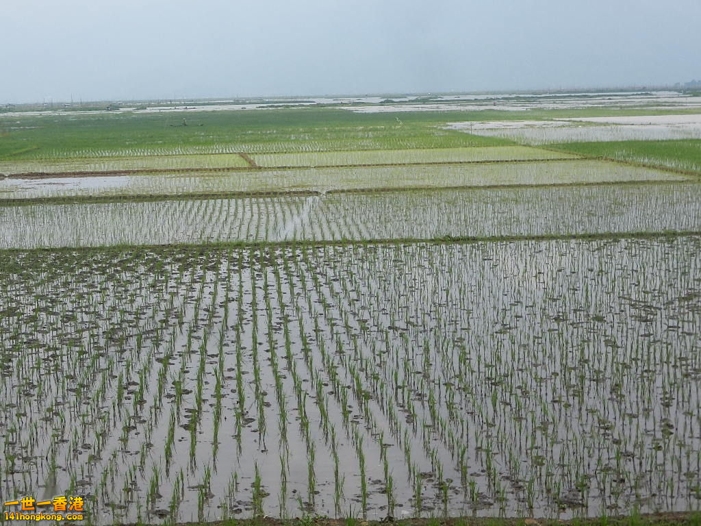 DSCN9198.JPG