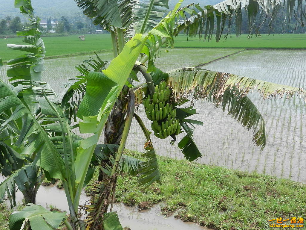 DSCN9193.JPG