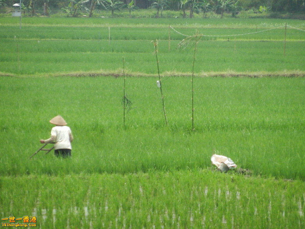 DSCN9204.JPG