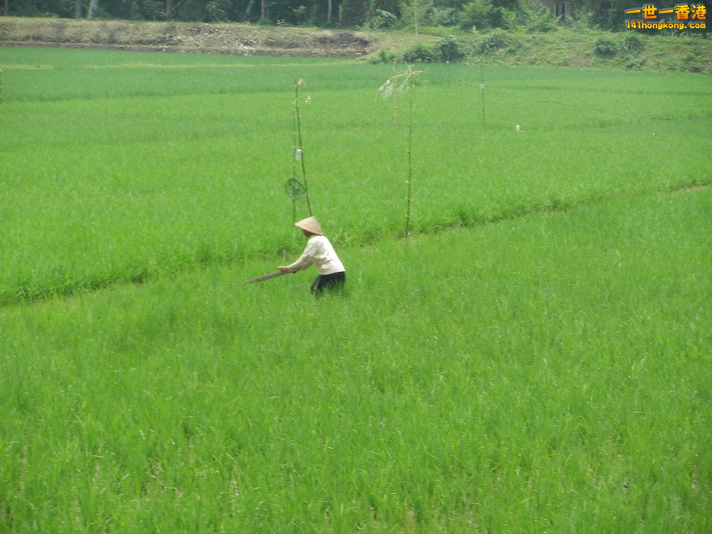 DSCN9207.JPG