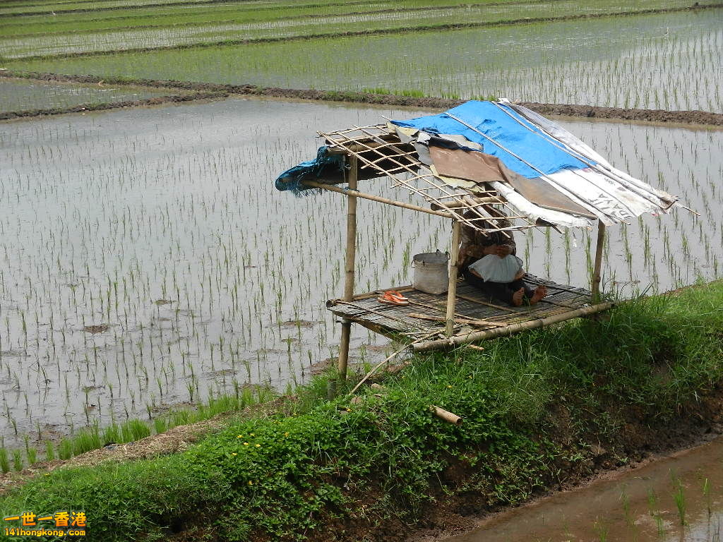 DSCN9229.JPG