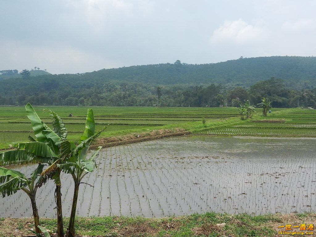 DSCN9220.JPG