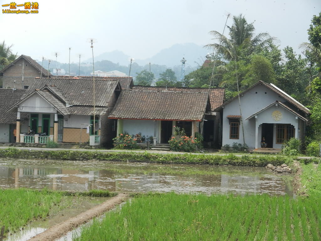 DSCN9244.JPG