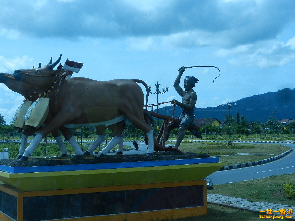 DSCN9779.JPG
