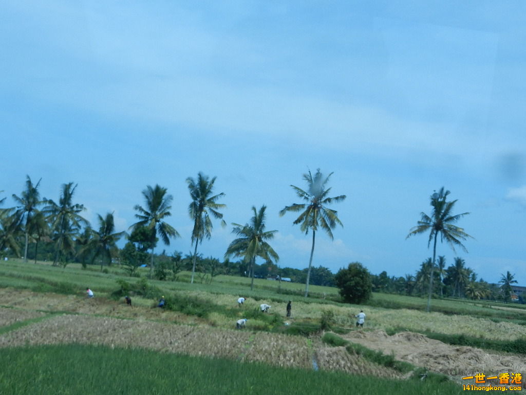 DSCN9788.JPG
