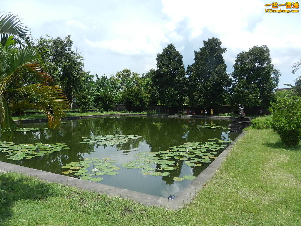 DSCN9808.JPG