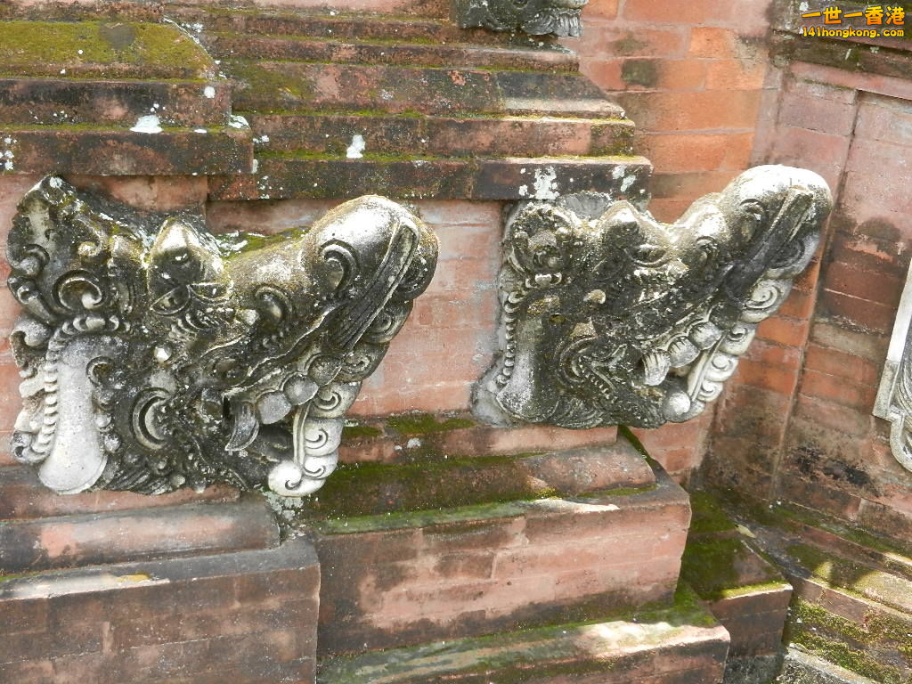 DSCN9823.JPG