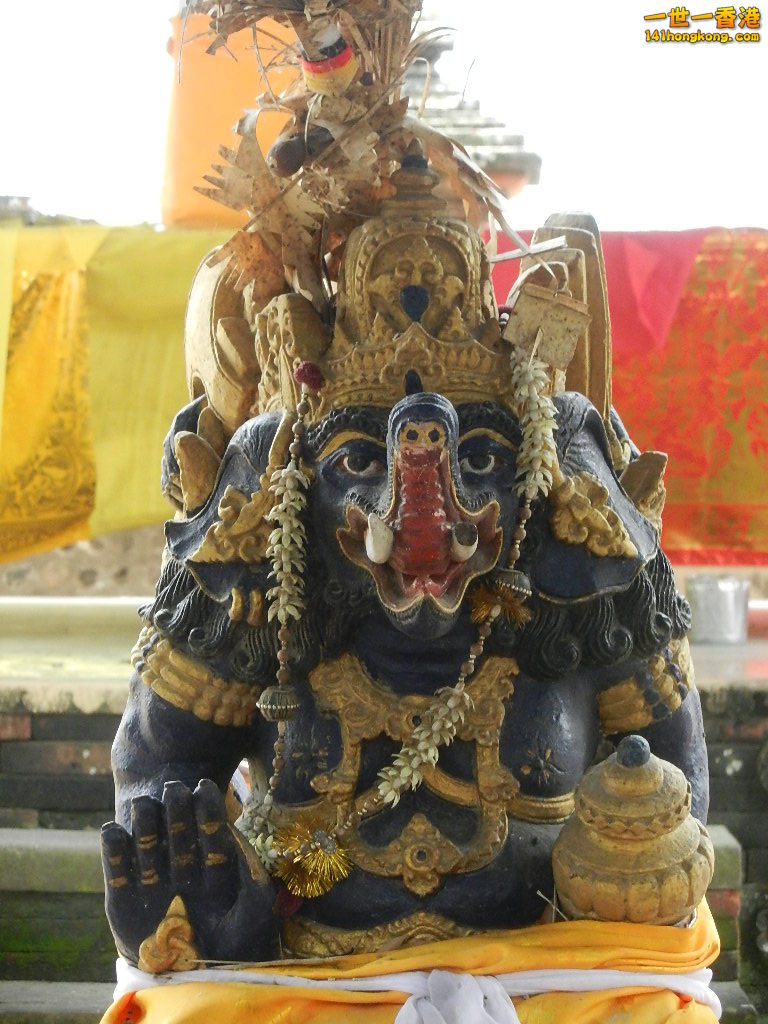 DSCN9843.JPG