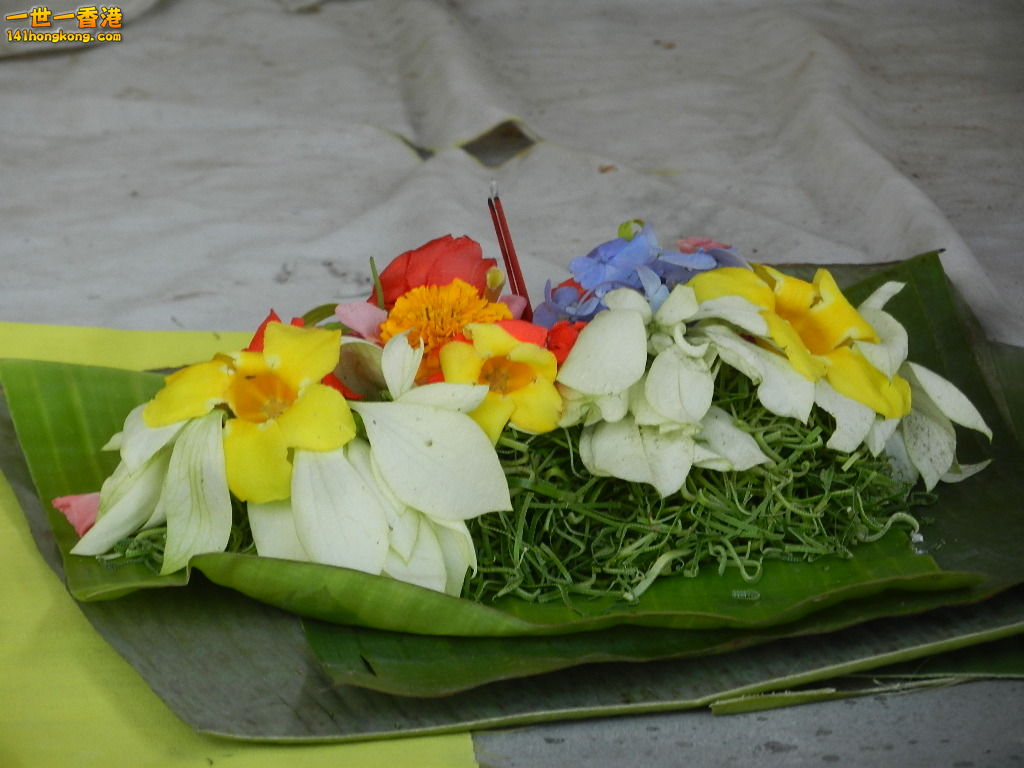 DSCN9853.JPG
