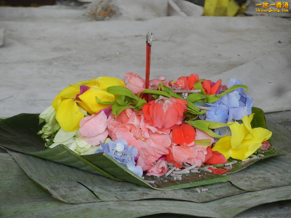DSCN9854.JPG