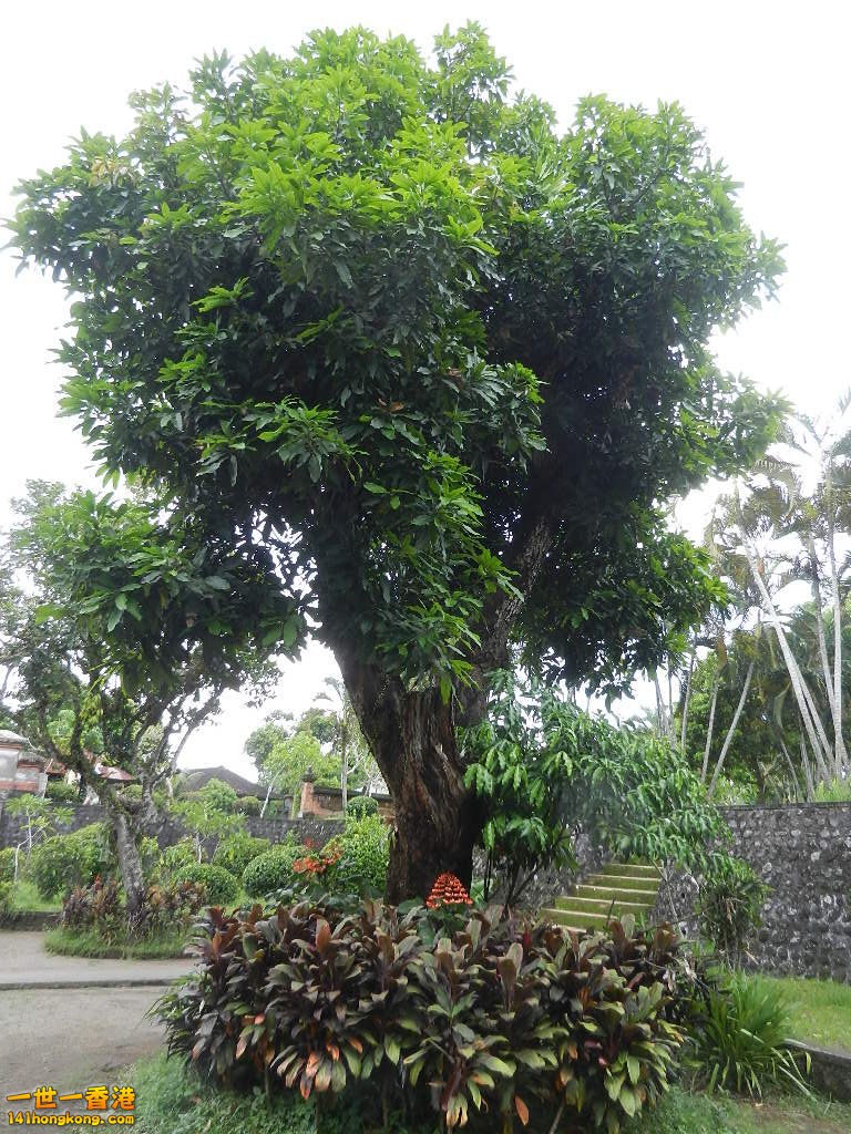 DSCN9869.JPG